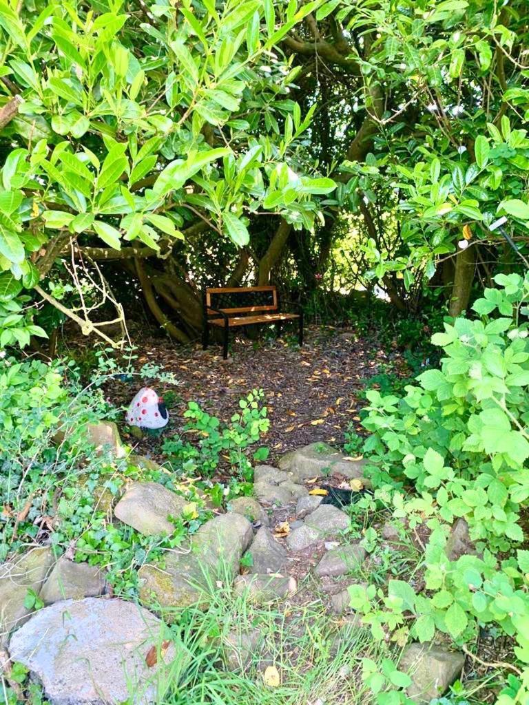 Quiet Farm Cottage Enniskillen Fermanagh Екстериор снимка